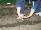 Picture 014