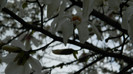DSCN1257