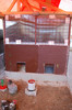 finalizare_voliera_30_martie_2012_ (12)