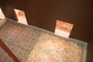 finalizare_voliera_30_martie_2012_ (1)
