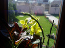 P1010032