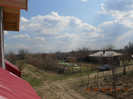 de la geam,spre gradina mea