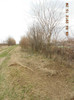 DSCN1610