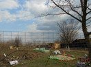 DSCN1611