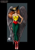 hawkgirl_by_nightwing1975