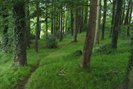 gilford_wood_by_nightwing1975