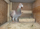 DSCF0474