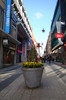 DSC07270