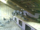 DSC04255