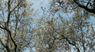 DSCN1406
