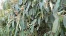 DSCN1409
