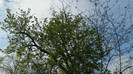 DSCN1415