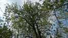 DSCN1418