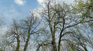 DSCN1419