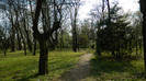 DSCN1437