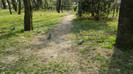 DSCN1438