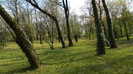 DSCN1439