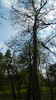 DSCN1441