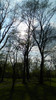 DSCN1442