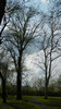 DSCN1446