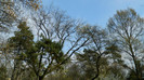 DSCN1448