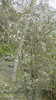 DSCN1451
