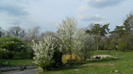 DSCN1461