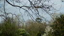 DSCN1468