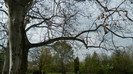 DSCN1469