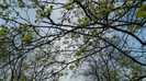 DSCN1470