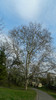 DSCN1471