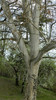 DSCN1475