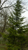 DSCN1476