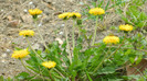 DSCN1482