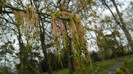 DSCN1492