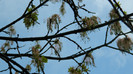 DSCN1494