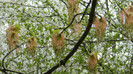 DSCN1495
