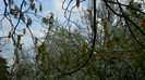 DSCN1496
