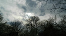 DSCN1498