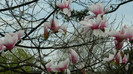 DSCN1507