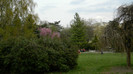 DSCN1514