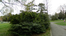 DSCN1522