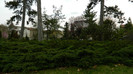 DSCN1527