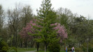 DSCN1530