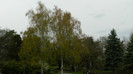 DSCN1531