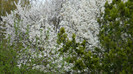 DSCN1532