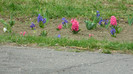 DSCN1543