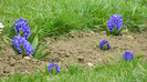 DSCN1544