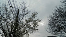 DSCN1549
