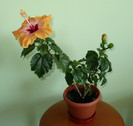 P1370757